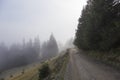 Fog over a mountain path in a forest Royalty Free Stock Photo