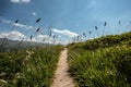 Mountain path - Goms, Switzerland Royalty Free Stock Photo