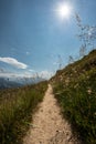 Mountain path - Goms, Switzerland Royalty Free Stock Photo