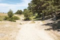 A mountain path in Montes de Valsain