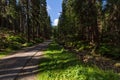 Mountain path in the national park Krkonose Royalty Free Stock Photo