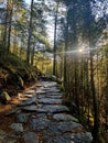 Mountain path to Preikestolen, Norway Royalty Free Stock Photo