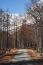 Mountain path trough the Monte Rosa Massif Piedmont, Italy Royalty Free Stock Photo