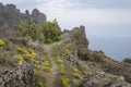 Mountain path among the yellow flowers over the cliff on the background of clouds, Kara-Dag ridge and the sea Royalty Free Stock Photo