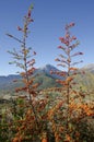 Mountain peak in Ancient Feneos of Korinthia. Greece