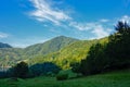 Mountain peak with forest and meadow in front on a sunny morning in the Romanian countryside