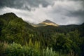 Mountain peak and green forest in Kazakhstan Royalty Free Stock Photo