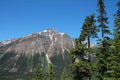 Mountain Peak in Jasper Park in Alberta Royalty Free Stock Photo