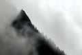 Mountain Peak Silhouette in Fog Royalty Free Stock Photo