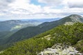 Mountain peak Synyak covered with alpine pines and scree of big green stones with moss. Carpathian Royalty Free Stock Photo