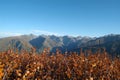 Mountain peaks in the Altay in the morning