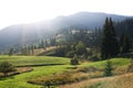 Mountain peaks, coniferous forest and green meadow Royalty Free Stock Photo