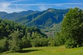 Mountain peaks with forest and orchard in the foreground on a sunny morning in the Romanian countryside
