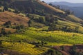 Mountain peaks landscape , Pah Pong Piang in maejam chiangmai, Paddy Royalty Free Stock Photo