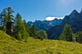 Mountain peaks of slovenian Alps at sunny morning near Vrsic mountain pass in Triglav national park