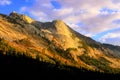 Mountain Peaks at Tioga pass in Eastern Sierra under evening sun light
