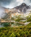 Mountain pine, lake and peak in High Tatras mountains at Slovakia Royalty Free Stock Photo