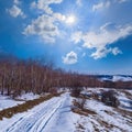 mountain plateau forest at sunny winter day Royalty Free Stock Photo