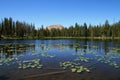 Mountain pond Royalty Free Stock Photo