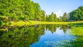 Mountain pond in lush green forest landscape Royalty Free Stock Photo