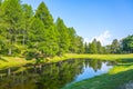 Mountain pond in lush green forest landscape Royalty Free Stock Photo