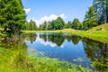 Mountain pond in lush green forest landscape Royalty Free Stock Photo