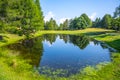 Mountain pond in lush green forest landscape Royalty Free Stock Photo