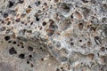 Mountain porous rock. Frozen ash. Texture for design_