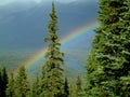 Mountain rainbow
