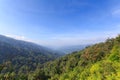 Mountain rainforests Royalty Free Stock Photo