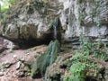 Mountain Rajac Serbia a mountain spring