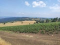 Mountain Rajac Serbia potato field near hiking trail