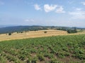 Mountain Rajac Serbia potato field near hiking trail