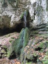 Serbia Mountain Rajac Sumadija mountain spring