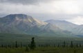 Mountain range Denali National Park Alaska Royalty Free Stock Photo