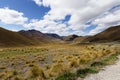 Mountain range across Lindis Pass, New Zealand Royalty Free Stock Photo