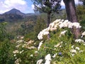 Mountain range Badulla sri lanka