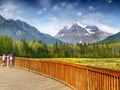 Mountain Range Landscape, Canada Royalty Free Stock Photo