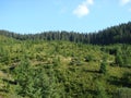 The mountain range of the Marmaros of the Ukrainian Carpathians near the town of Rakhiv of the Transcarpathian region. Ukraine. 08 Royalty Free Stock Photo