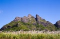 Mountain range in Mauritius with sugar cane field Royalty Free Stock Photo