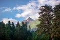 Mountain peak covered with forest against blue sky Royalty Free Stock Photo