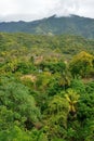 Cuba, Tourist trail into Pico Turquino tops Royalty Free Stock Photo