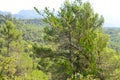 Mountain range in Spain Odena