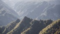 Mountain range with yellowed trees overgrown on it in autumn against the backdrop of mountain slopes Royalty Free Stock Photo