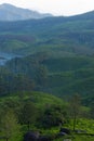 Mountain ranges covered in fog in Munnar Royalty Free Stock Photo