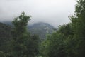 Mountain ranges covered with forest under the clouds Royalty Free Stock Photo