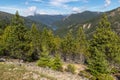 Mountain ranges with pine trees forest in Mount Richmond Forest Park, New Zealand Royalty Free Stock Photo