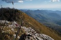 Minimalistic nature screensaver. Autumn forest in all its glory is simply gorgeous. Mountain ranges. View from mountain on bush of