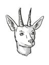 Mountain Reedbuck Endangered Wildlife Cartoon Retro Drawing Royalty Free Stock Photo