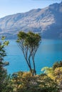 Mountain and reflection, scenic view of Lake Wakatipu, New Zealand, South Island Royalty Free Stock Photo